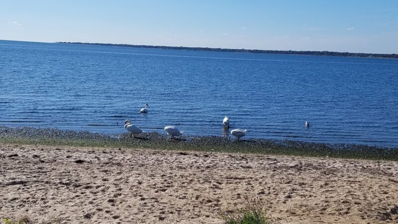 Shirley Beach - Shirley, NY