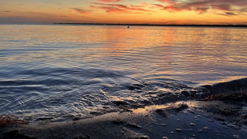 Shirley Beach - Shirley, NY