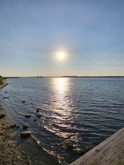 Smith Point Marina County Park - Shirley, NY