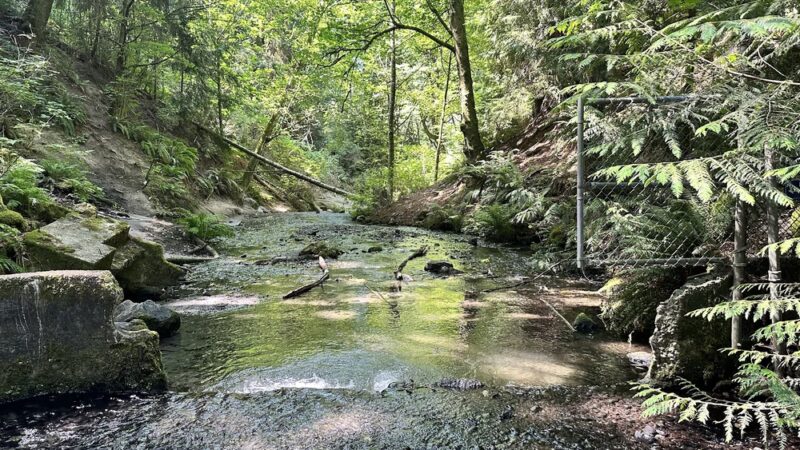 Boeing Creek Park - Shoreline, WA