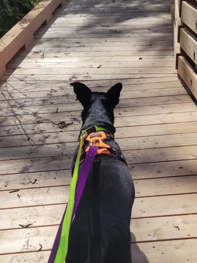 Boeing Creek Park - Shoreline, WA