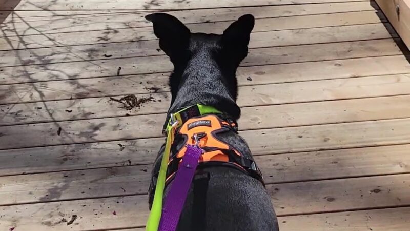Boeing Creek Park - Shoreline, WA