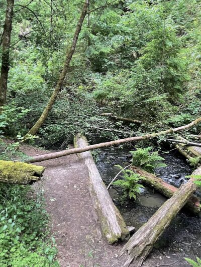 Boeing Creek Park - Shoreline, WA