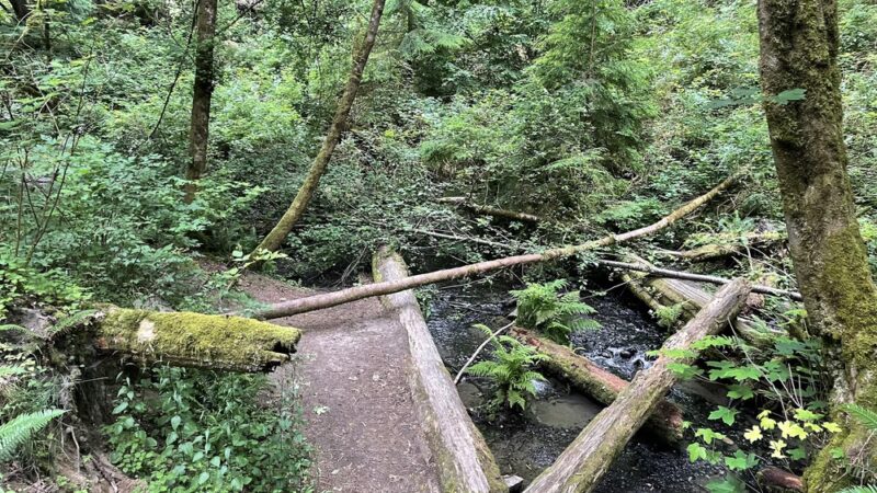 Boeing Creek Park - Shoreline, WA