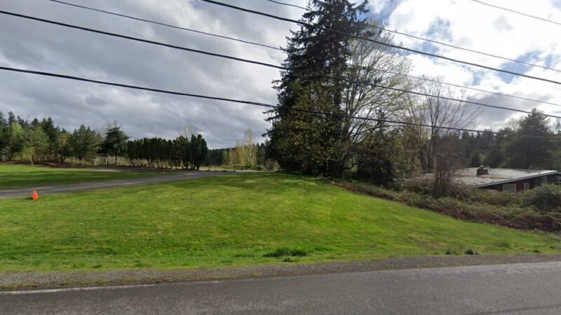 Dog fields - Shoreline, WA