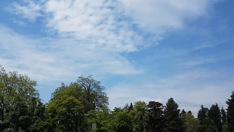 Eastside Off-Leash Dog Area - Shoreline, WA