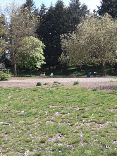 Eastside Off-Leash Dog Area - Shoreline, WA