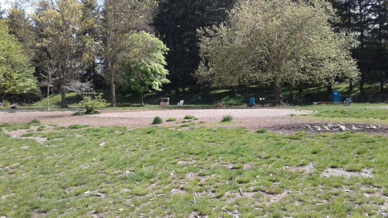 Eastside Off-Leash Dog Area - Shoreline, WA