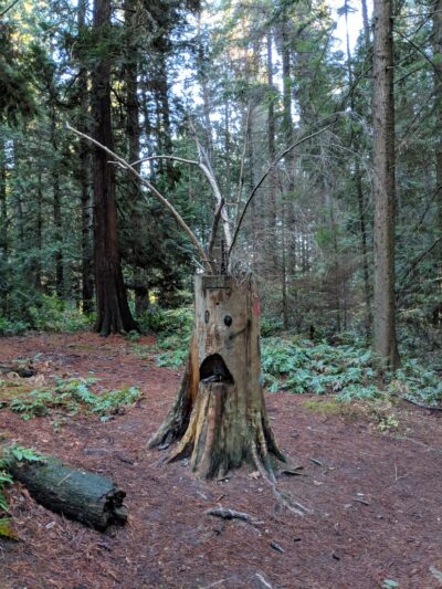 Hamlin Park - Shoreline, WA