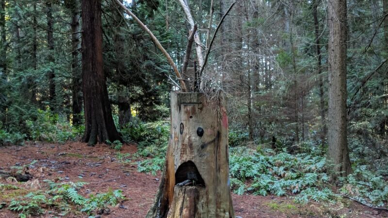 Hamlin Park - Shoreline, WA