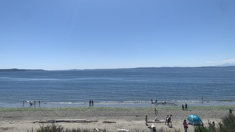 Richmond Beach Saltwater Park - Shoreline, WA