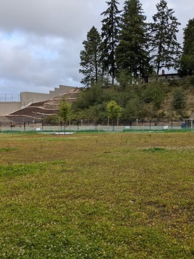 Ridgecrest Park - Shoreline, WA