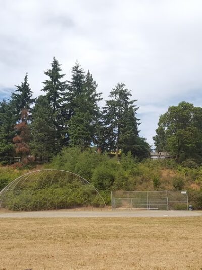 Ridgecrest Park - Shoreline, WA