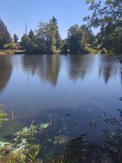 Ronald Bog Park - Shoreline, WA