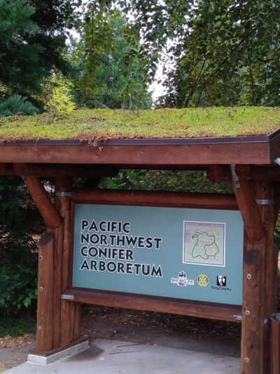 Ronald Bog Park - Shoreline, WA