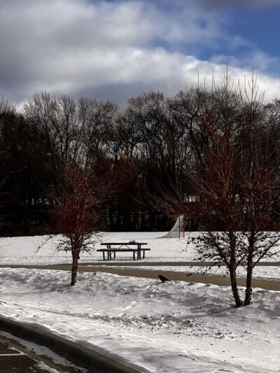 Badger Park - Shorewood, MN