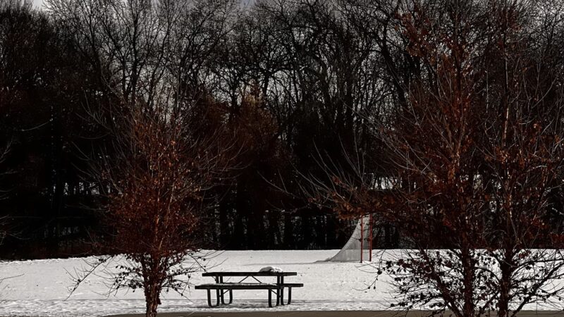 Badger Park - Shorewood, MN