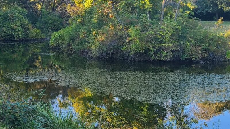 Estabrook Park - Shorewood, WI