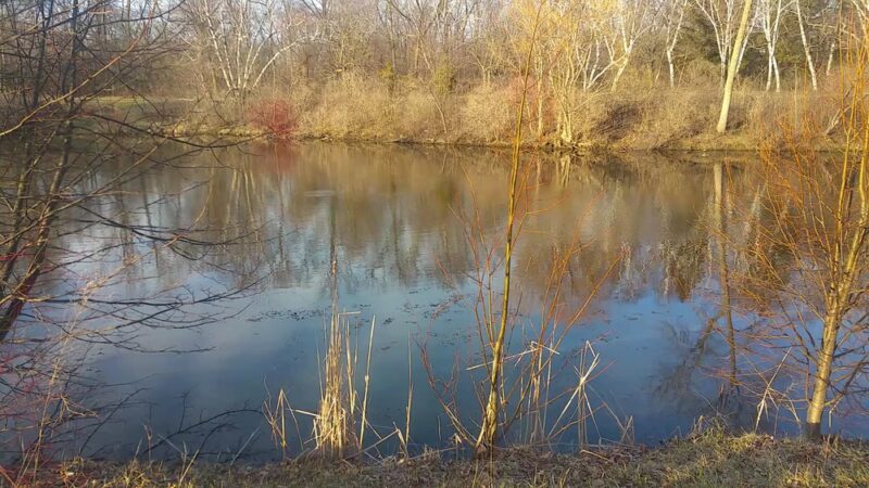 Milwaukee River Greenway - Shorewood, WI