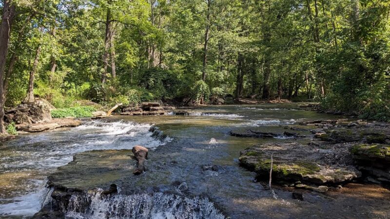 Shortsville Budd Park - Shortsville, NY