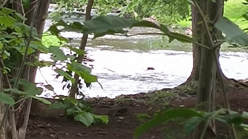 Shortsville Budd Park - Shortsville, NY