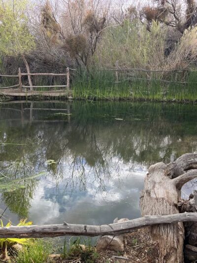 Shoshone Trailer RV Park - Shoshone, CA