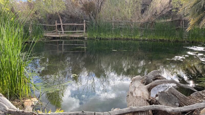 Shoshone Trailer RV Park - Shoshone, CA