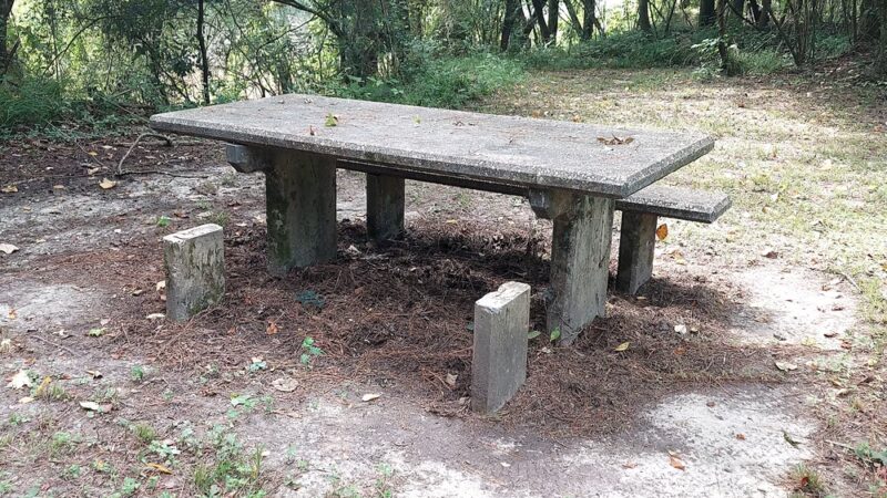 SHUBUTA BOAT LANDING AND PARK - Shubuta, MS