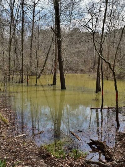 J.C. "Sonny" Gilbert Wildlife Management Area - Sicily Island, LA