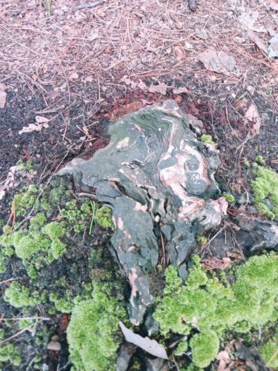 Camden County College Trailhead - Sicklerville, NJ