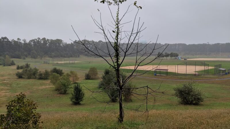 Frank Donio Memorial Fields - Sicklerville, NJ