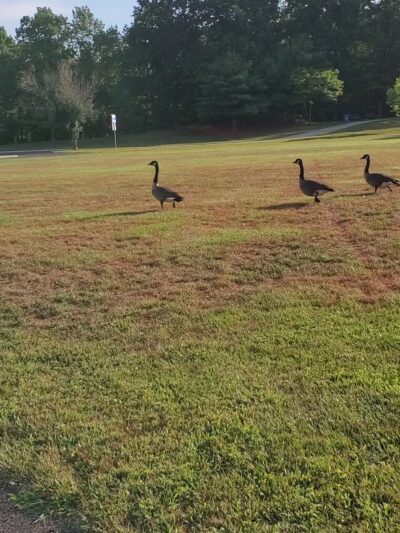 Gloucester Township Community Park - Sicklerville, NJ