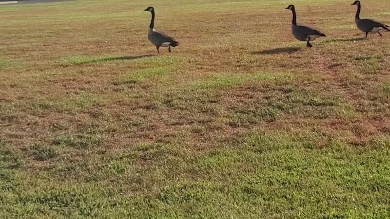 Gloucester Township Community Park - Sicklerville, NJ