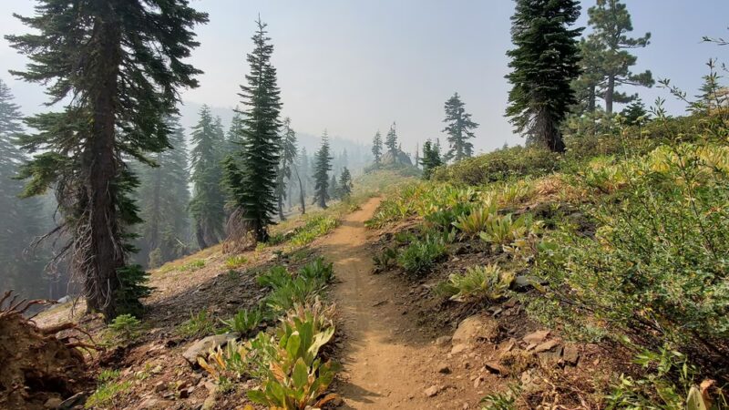 Sierra Buttes Trailhead - Sierra City, CA