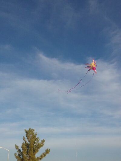 Chaparral Village Park - Sierra Vista, AZ