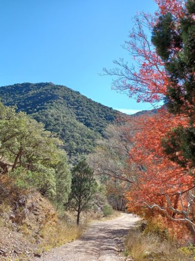 McFadden Park - Sierra Vista, AZ