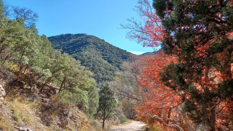 McFadden Park - Sierra Vista, AZ