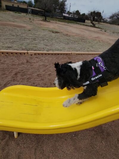 Nancy Hakes Park - Sierra Vista, AZ