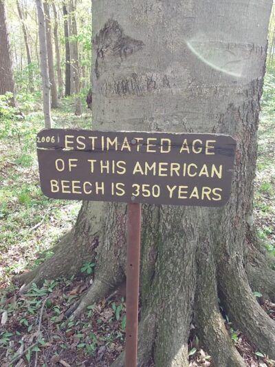 Wildwood - ACRES Land Trust - Silver Lake, IN