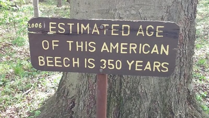Wildwood - ACRES Land Trust - Silver Lake, IN
