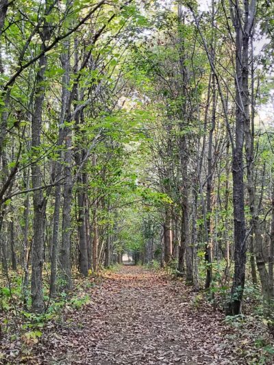 Wildwood - ACRES Land Trust - Silver Lake, IN