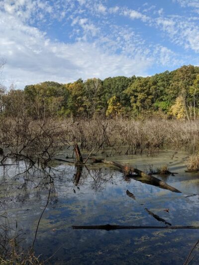 Wildwood - ACRES Land Trust - Silver Lake, IN