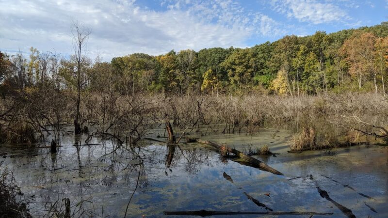 Wildwood - ACRES Land Trust - Silver Lake, IN