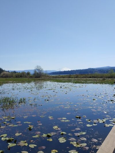 Silver Lake - Silver Lake, WA
