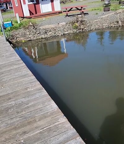 Streeters Resort - Silver Lake, WA