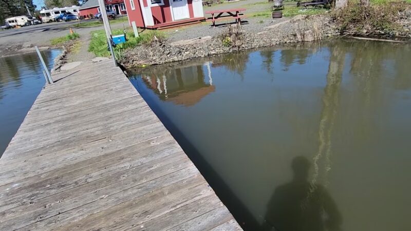 Streeters Resort - Silver Lake, WA