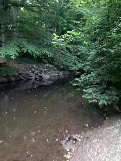 Dale Drive Neighborhood Park - Silver Spring, MD