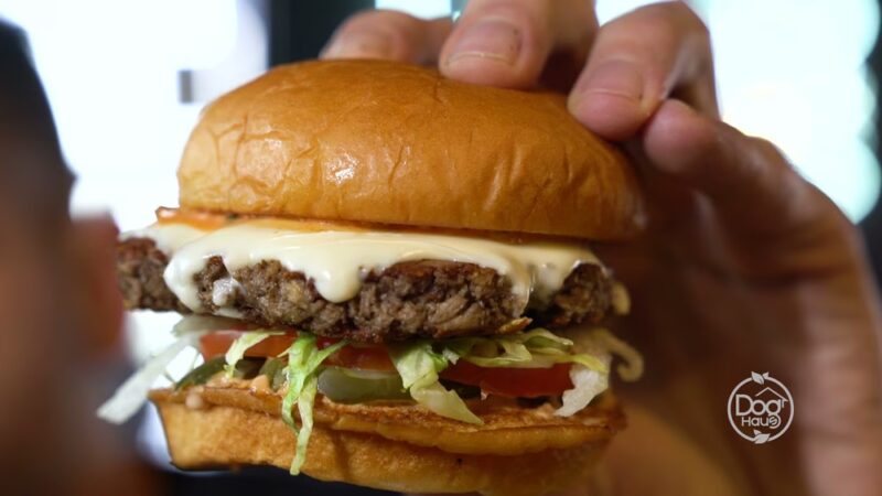 Dog Haus Biergarten Silver Spring - Silver Spring, MD