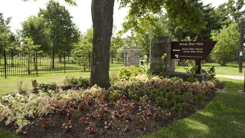 Jesup Blair Park - Silver Spring, MD