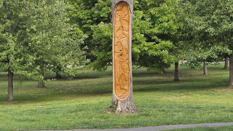 Jesup Blair Park - Silver Spring, MD